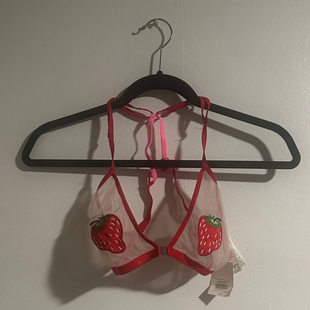 Strawberry Embroidered Sheer Bralette